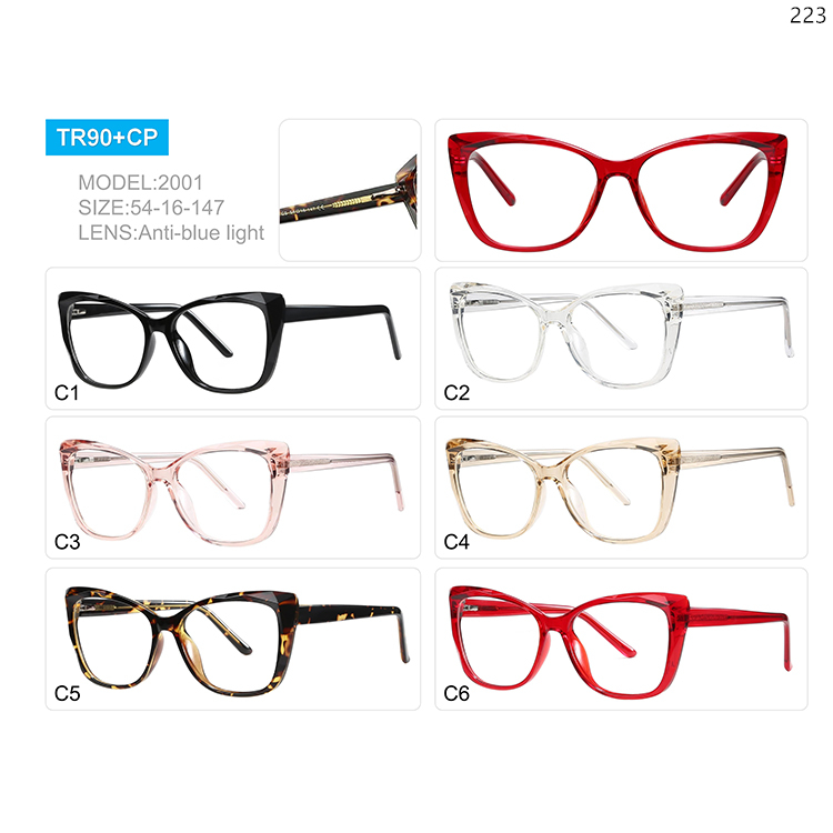 2001-05 New Fashion TR90 Cat Eye Shape Computer Eye Glasses with CP Legs (1)