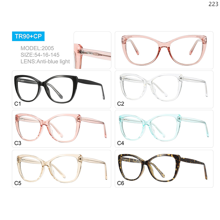 2001-05 New Fashion TR90 Cat Eye Shape Computer Eye Glasses with CP Legs (2)
