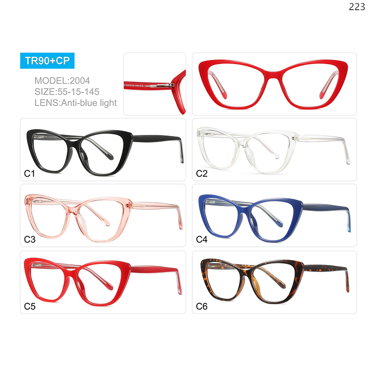 2001-05 New Fashion TR90 Cat Eye Shape Computer Eye Glasses with CP Legs (3)