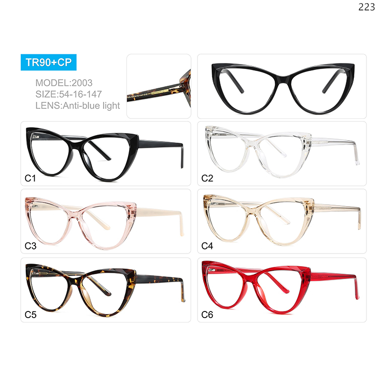 2001-05 New Fashion TR90 Cat Eye Shape Computer Eye Glasses with CP Legs (4)