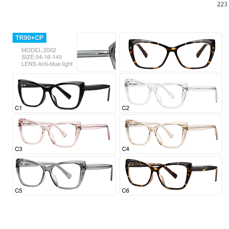 2001-05 New Fashion TR90 Cat Eye Shape Computer Eye Glasses with CP Legs (5)