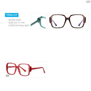 Optical Frames