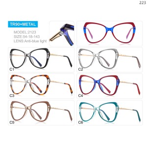 Optical Frames