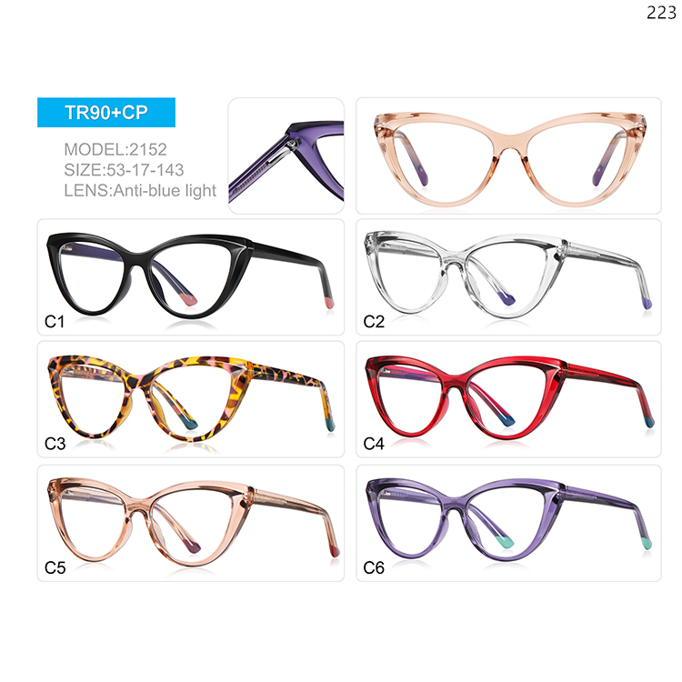 2149-53 Ladies Design Cateye Shape TR90 Computer Optical Glasses with Spring Hinge (3)