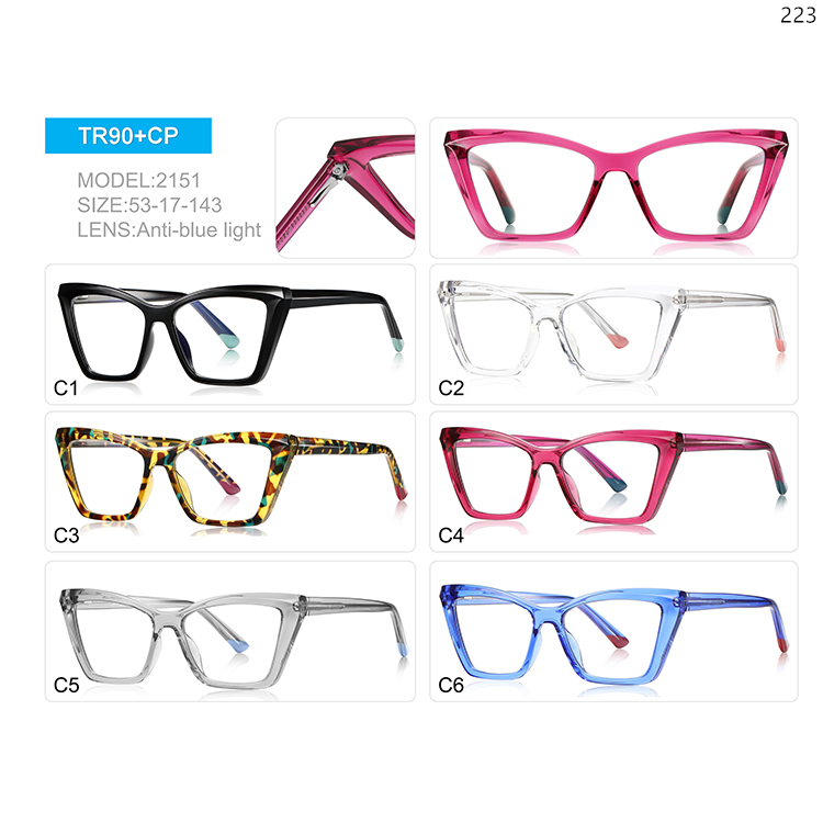 2149-53 Ladies Design Cateye Shape TR90 Computer Optical Glasses with Spring Hinge (4)