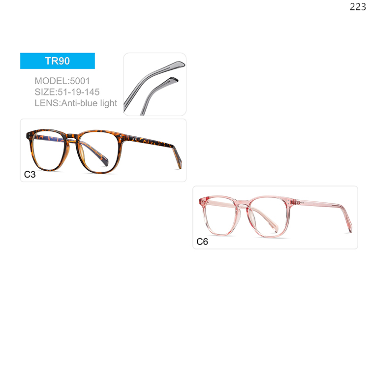 5001-05 Ready Stock Vintage TR90 Anti Blue Light Optical Glasses with Metal Hinge (1)