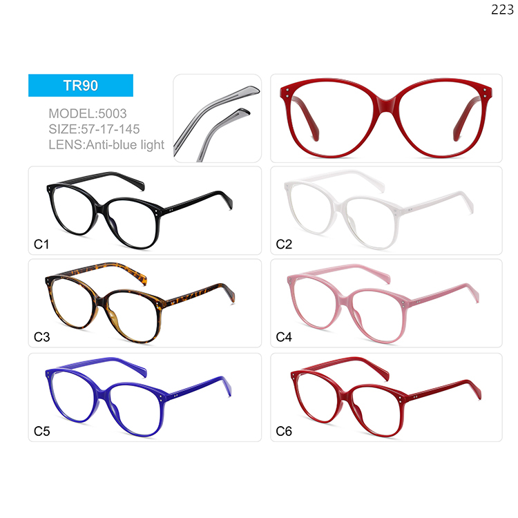 5001-05 Ready Stock Vintage TR90 Anti Blue Light Optical Glasses with Metal Hinge (3)