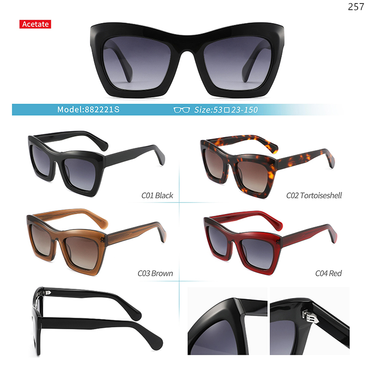 882220S-24S Acetate Thick Frame Wholesale Trendy Sunglasses Sonnenbrillen Großhandel (2)