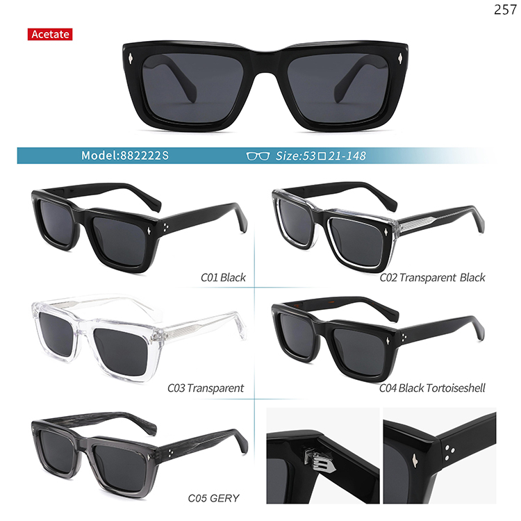 882220S-24S Acetate Thick Frame Wholesale Trendy Sunglasses Sonnenbrillen Großhandel (3)