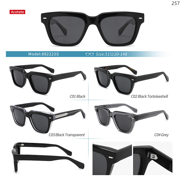 882220S-24S Acetate Thick Frame Wholesale Trendy Sunglasses Sonnenbrillen Großhandel (4)