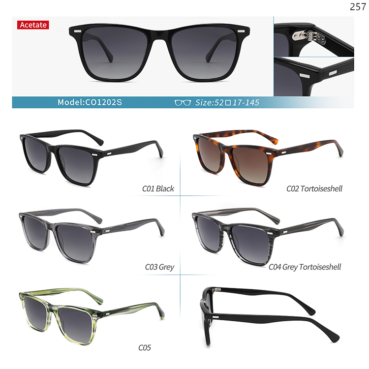 CO1140S-209S High Quality Custom LOGO Acetate Sunglasses Sunwear with Metal Hinge (2)