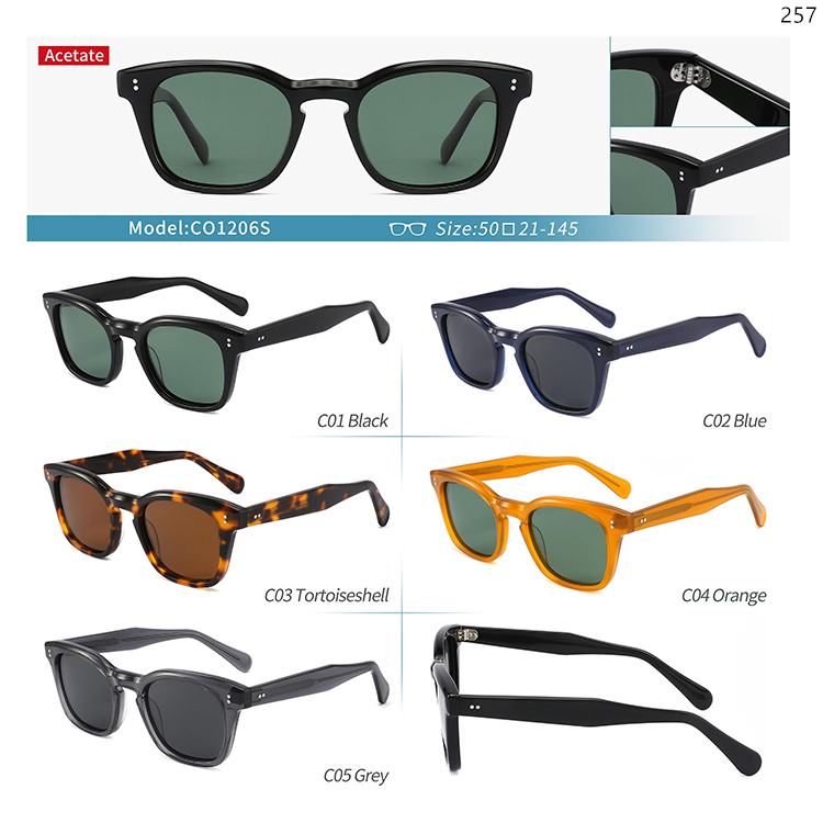 CO1140S-209S High Quality Custom LOGO Acetate Sunglasses Sunwear with Metal Hinge (3)