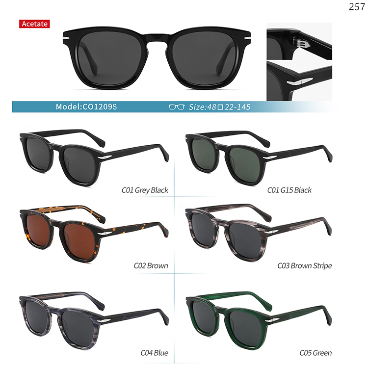 CO1140S-209S High Quality Custom LOGO Acetate Sunglasses Sunwear with Metal Hinge (5)