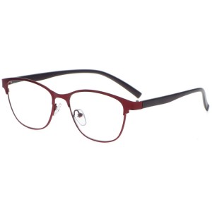 Reading Glasses