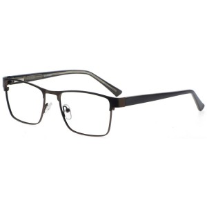 Reading Glasses