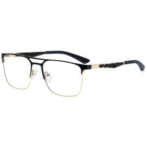 Reading Glasses