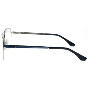 Reading Glasses