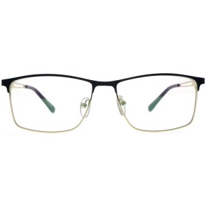 Reading Glasses