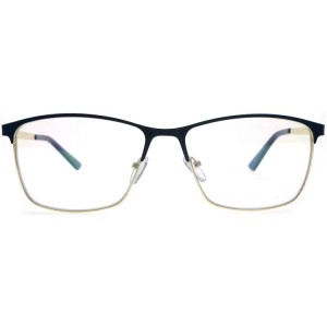 Reading Glasses