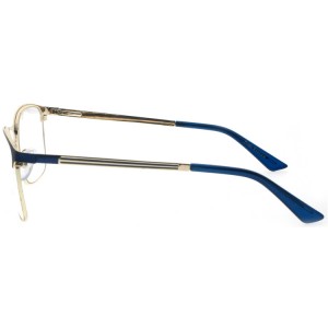 Reading Glasses