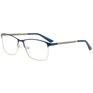 Reading Glasses