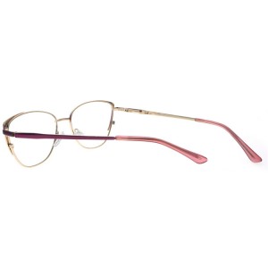Reading Glasses