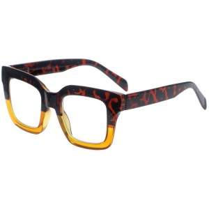 Reading Glasses