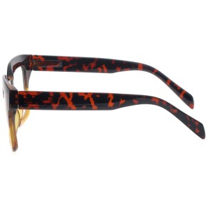 Reading Glasses