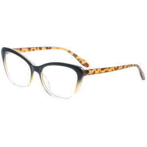 Reading Glasses