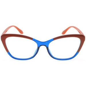Reading Glasses