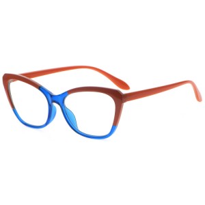 Reading Glasses