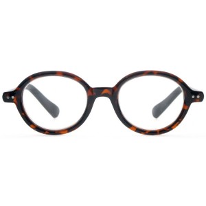 Reading Glasses