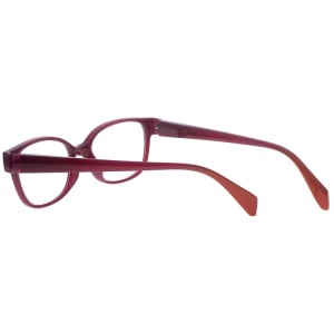 Reading Glasses