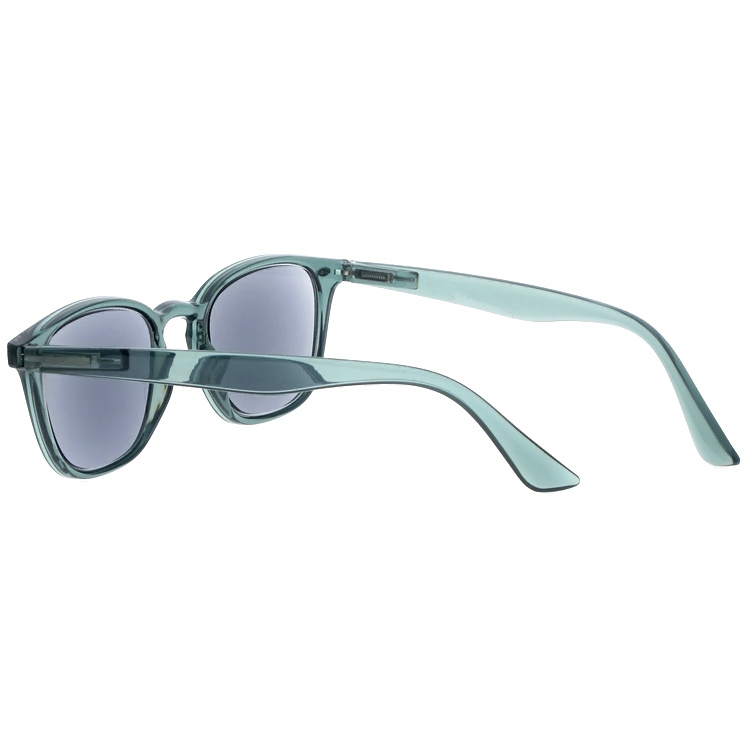 DRP102288 PC Sun Reader Reading sunglasses with Retro Style Spring Hinges (9)