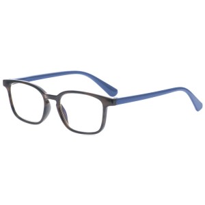 Reading Glasses