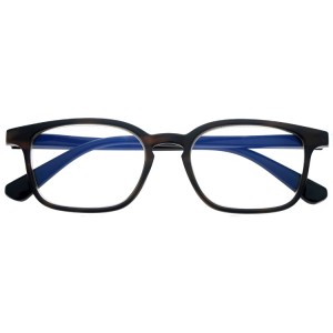 Reading Glasses