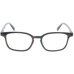 Reading Glasses