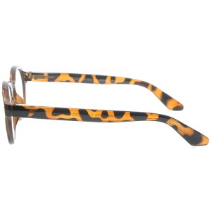 Reading Glasses