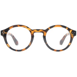 Reading Glasses