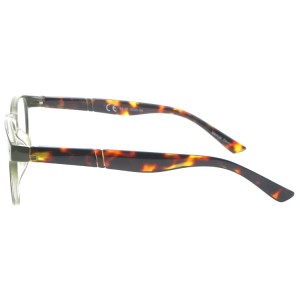 Reading Glasses