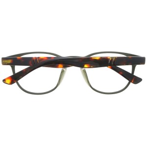 Reading Glasses