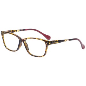 Reading Glasses