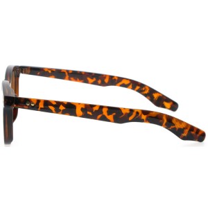 Reading Glasses