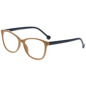 Reading Glasses