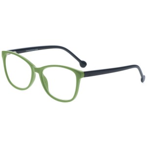 Reading Glasses