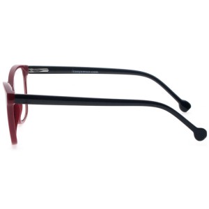 Reading Glasses