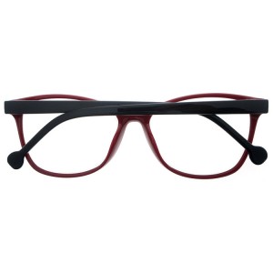 Reading Glasses