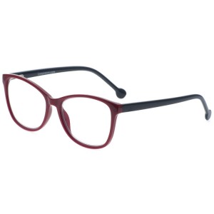 Reading Glasses