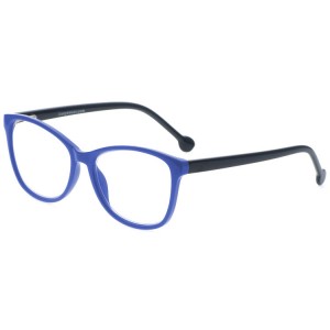 Reading Glasses
