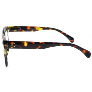 Reading Glasses